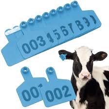የጆሮ መለያ