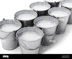 የወተት ባልዲ