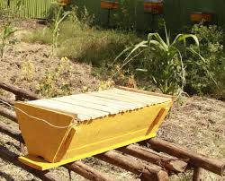 Transitional Beehive